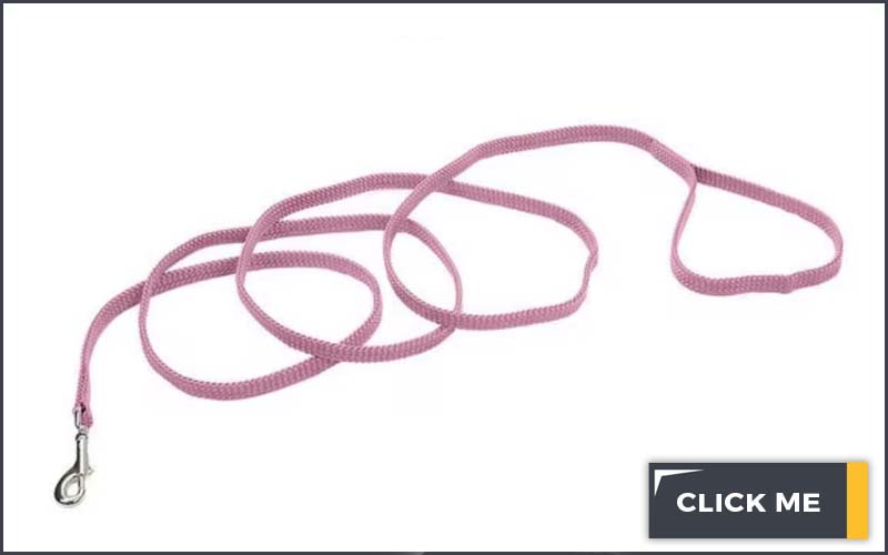Pink 6 foot dog leash