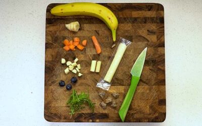 Create Healthy Eating Habits for Your Dog