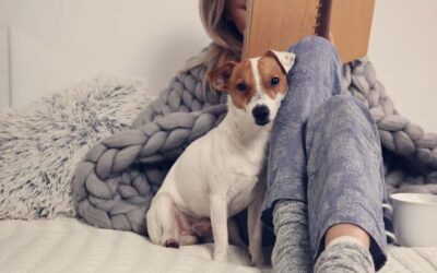 Five Secrets to Successful Adoptions!