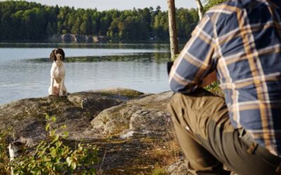 How to Deal with Dominance Issues in Dog Training