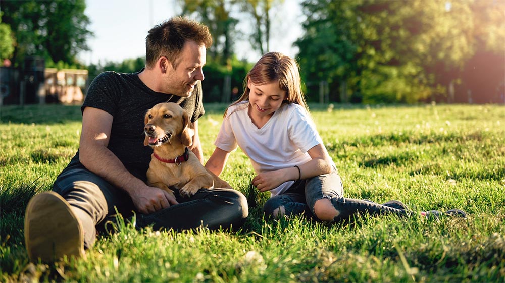 dad and daughter sitting in green grass with a happy and calm dog
