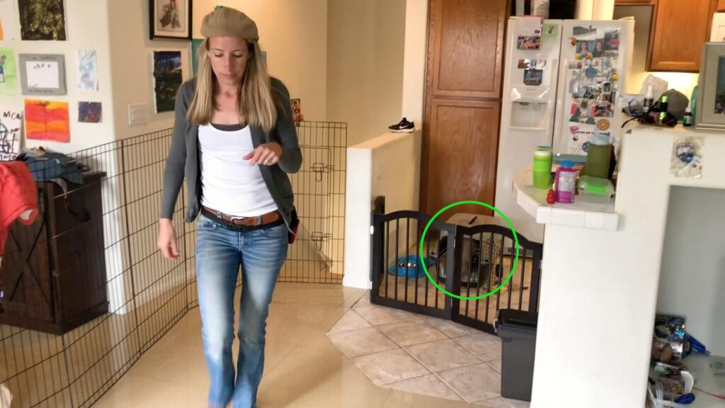 woman with white shirt and blue jeans creating some distance away from the puppy in a crate within a gated area