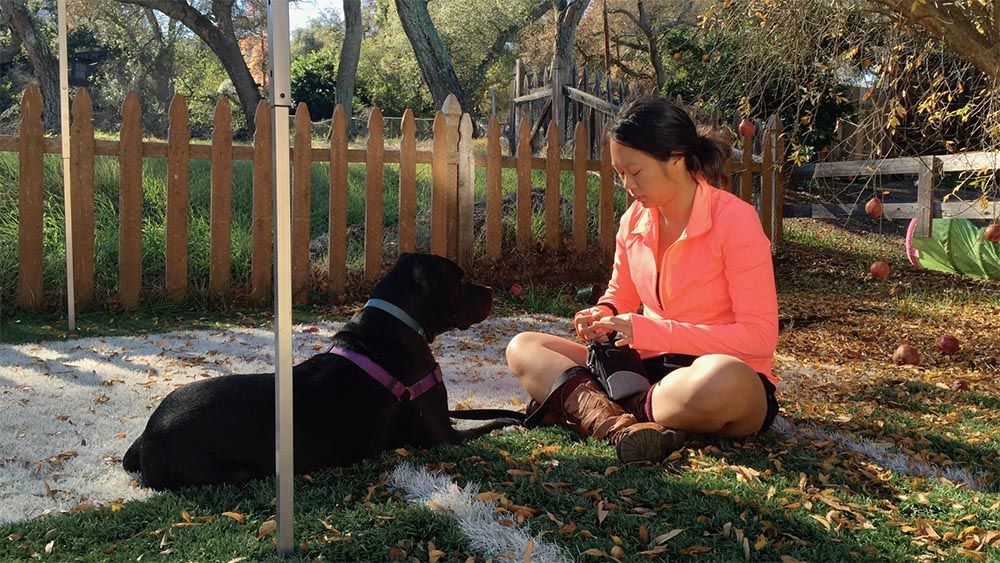 black dog relaxing on turf next to a woman with orange jacket