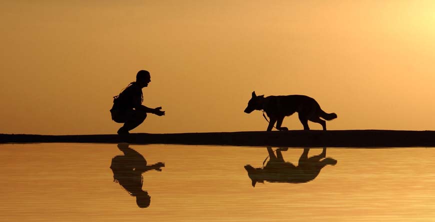 a silhouette during sunset next to a lake with a reflection of a man squatting with his arms out as a dog walks toward him