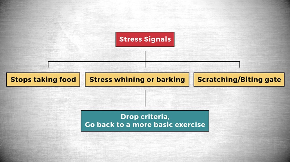 flow chart explaining what to do if you notice certain stress signals