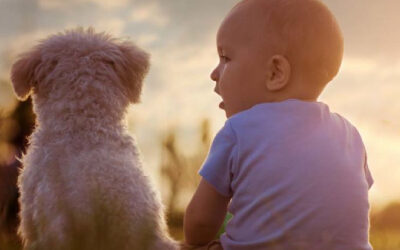 Introducing Your Dog to the New Baby